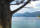 2018 08-IMG 5102 : Cavtat, iPhone6s